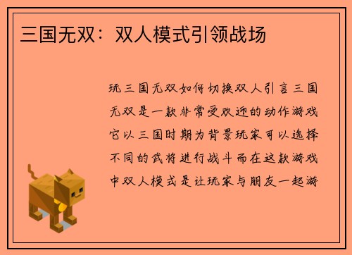 三国无双：双人模式引领战场